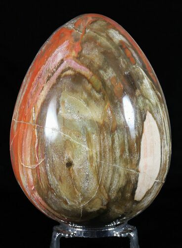 Colorful, Polished Petrified Wood Egg - Triassic #58522